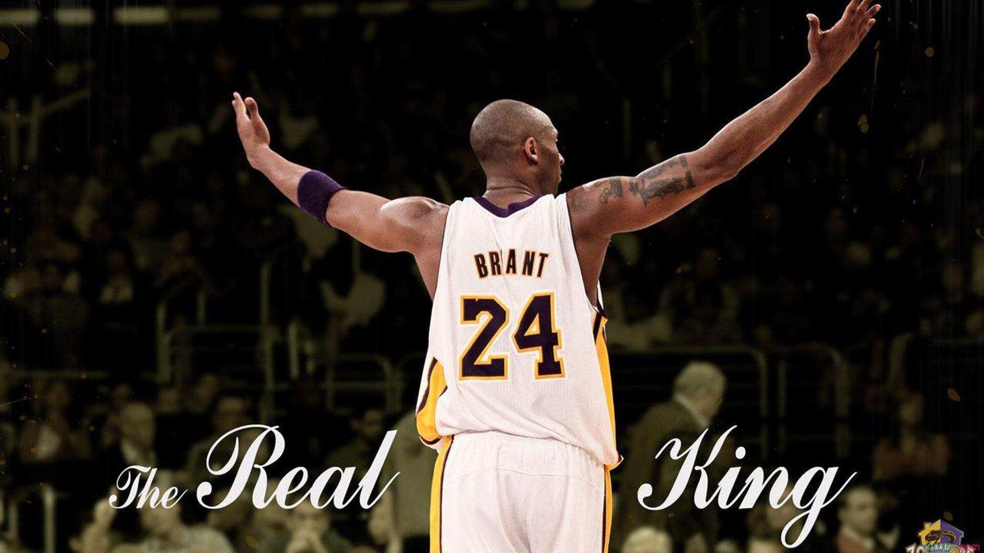 乐鱼vip-球场变革：最新高科技设备带来的比赛变革，球场设计